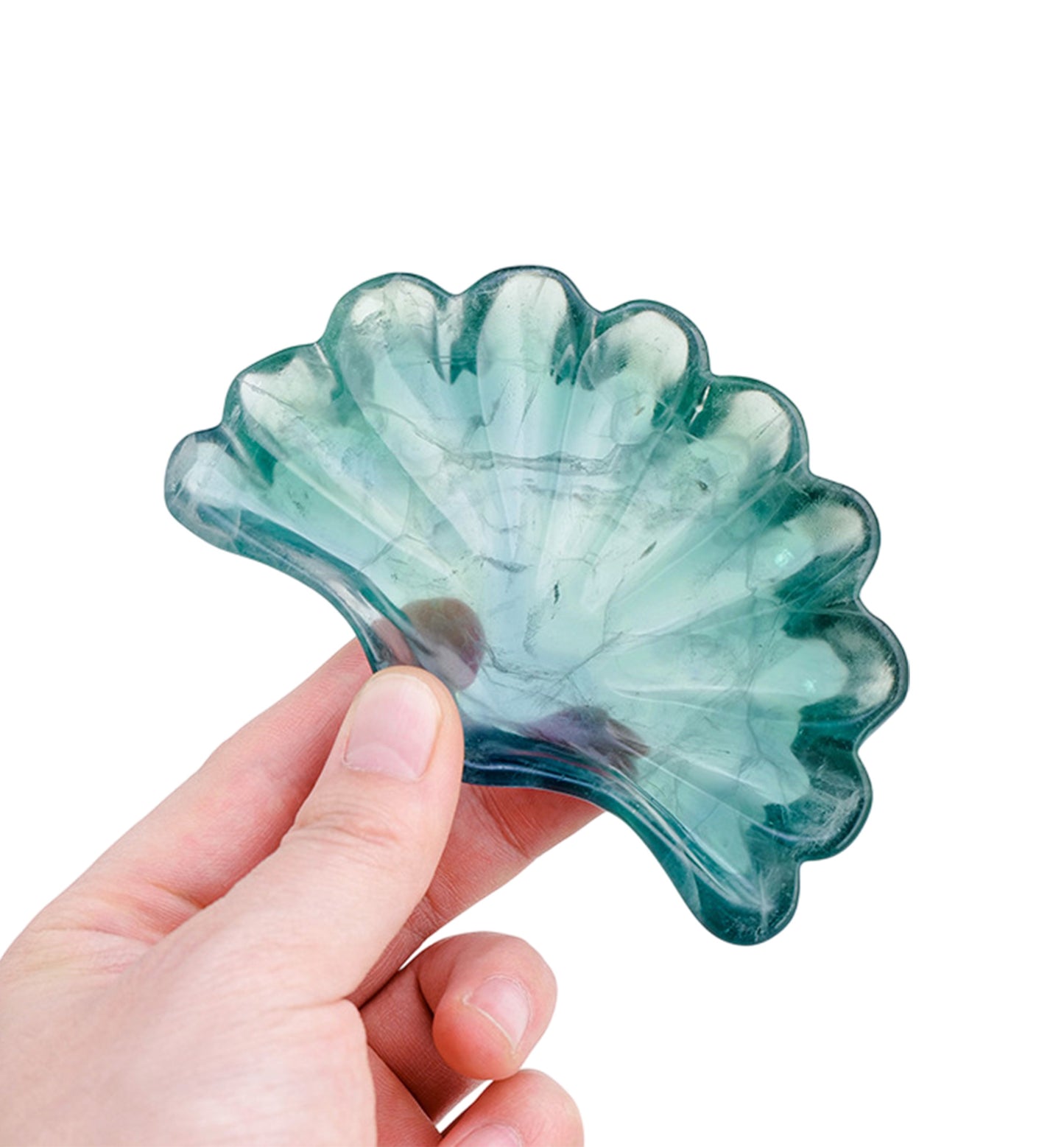 Green Fluorite Shell