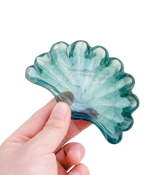 Green Fluorite Shell